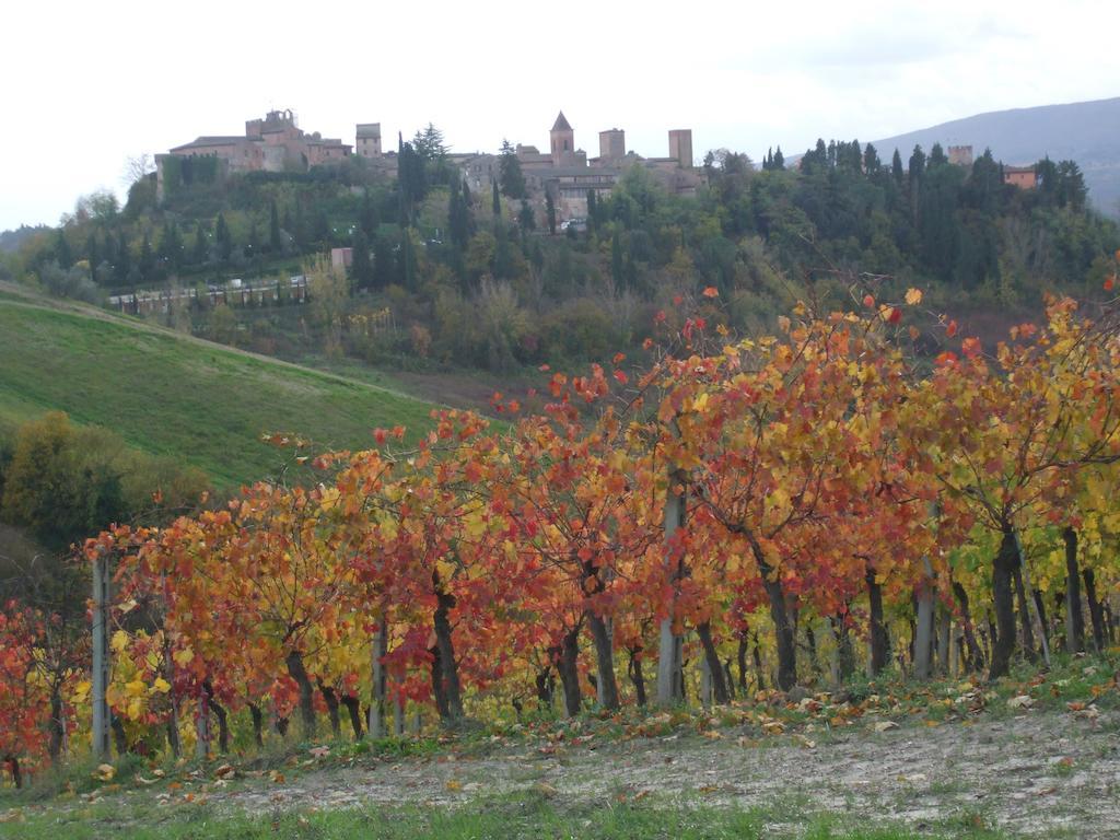 Agriturismo Il Torrione Certaldo Luaran gambar