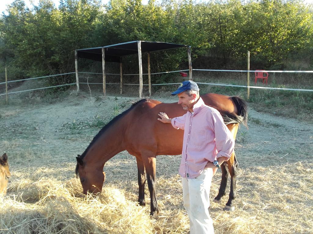 Agriturismo Il Torrione Certaldo Luaran gambar