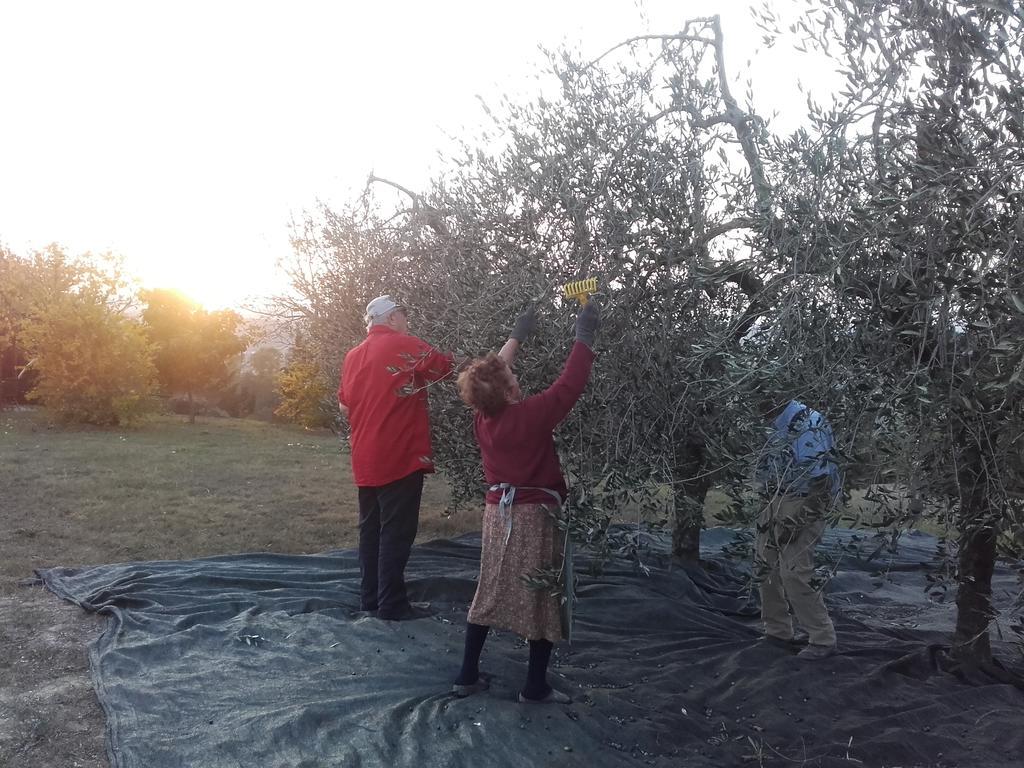 Agriturismo Il Torrione Certaldo Luaran gambar