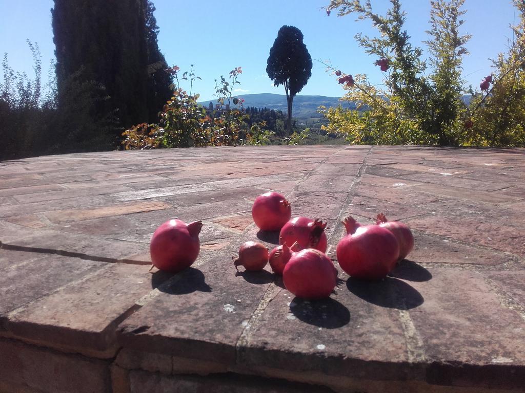 Agriturismo Il Torrione Certaldo Luaran gambar