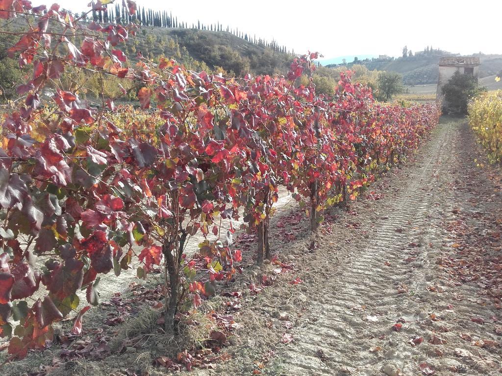 Agriturismo Il Torrione Certaldo Luaran gambar