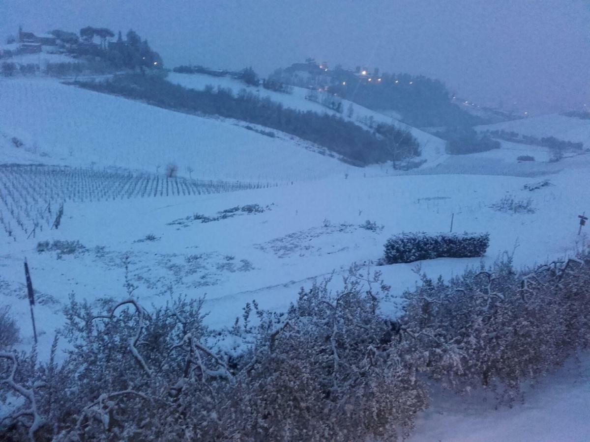 Agriturismo Il Torrione Certaldo Luaran gambar
