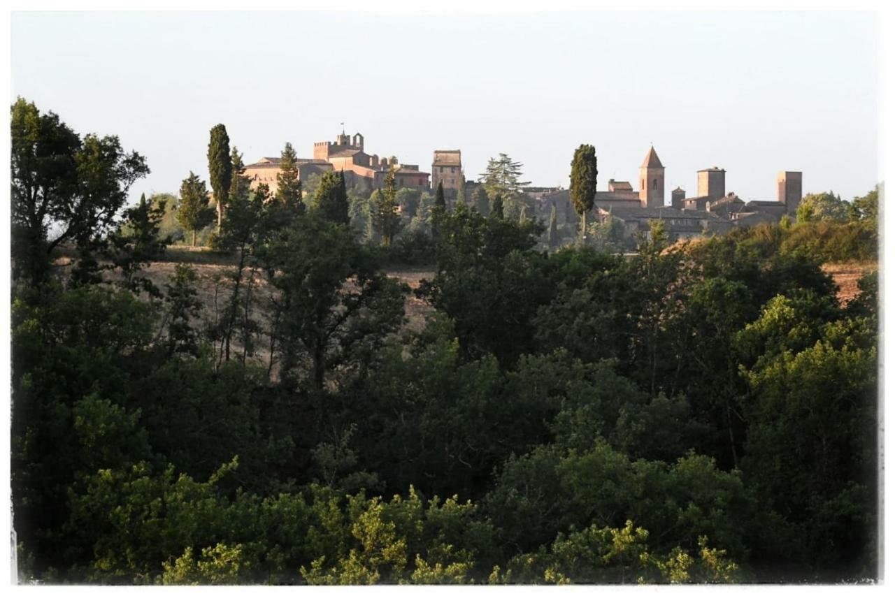 Agriturismo Il Torrione Certaldo Luaran gambar